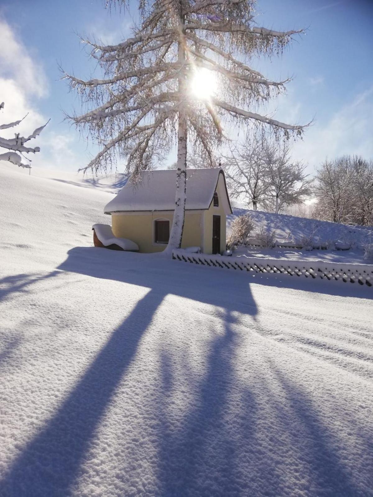 איטר Alpenchalets Oberlaiming מראה חיצוני תמונה